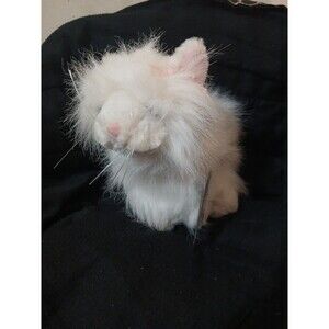 GANZ Webkinz Persian Cat HM110 Tags 9" Plush Stuffed Animal White Code Status ?